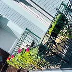 Rueuetli Residents 페르누