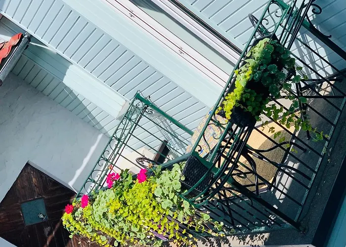 Rueuetli Residents Parnu